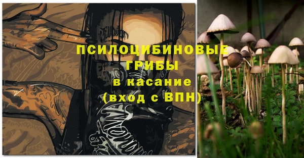 apvp Алексин