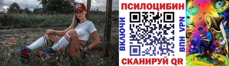 Псилоцибиновые грибы прущие грибы  Димитровград 