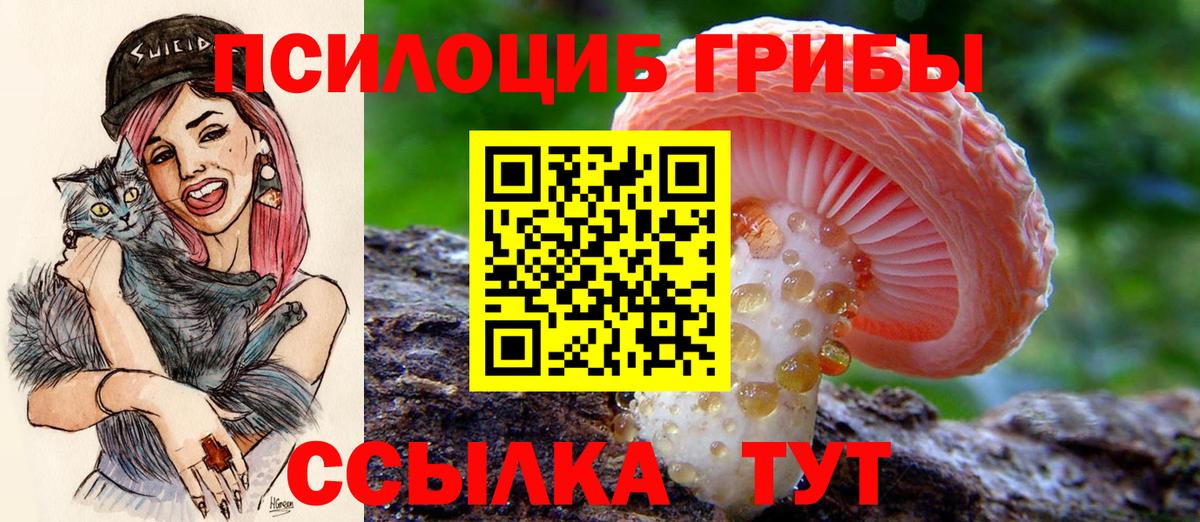 Псилоцибиновые грибы прущие грибы  Вход с VPN  Димитровград 